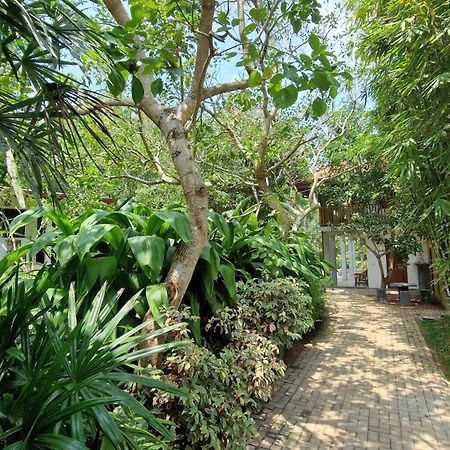 Villa Arana Bentota Zewnętrze zdjęcie