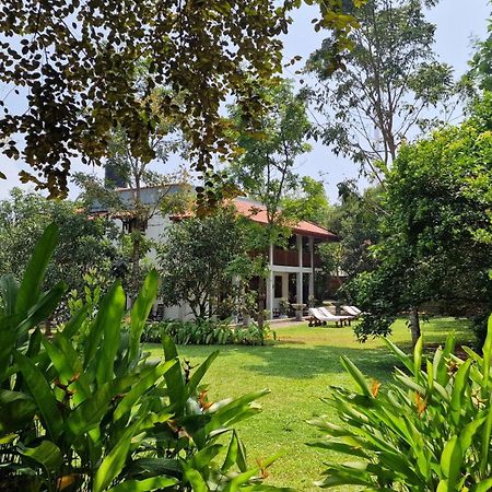 Villa Arana Bentota Zewnętrze zdjęcie