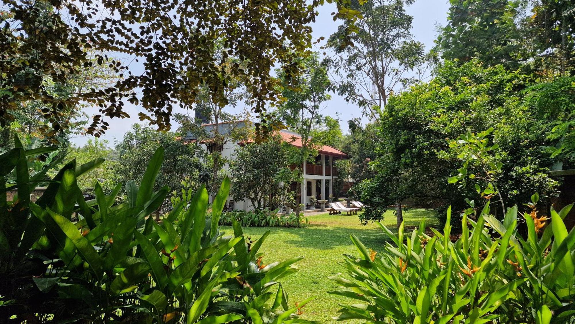 Villa Arana Bentota Zewnętrze zdjęcie