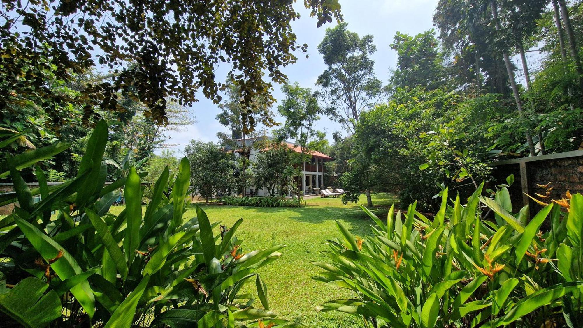 Villa Arana Bentota Zewnętrze zdjęcie