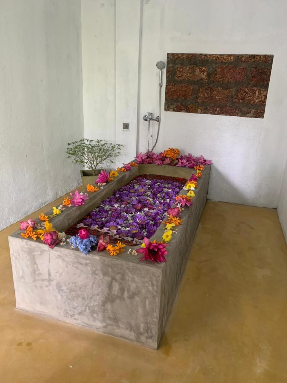 Villa Arana Bentota Zewnętrze zdjęcie
